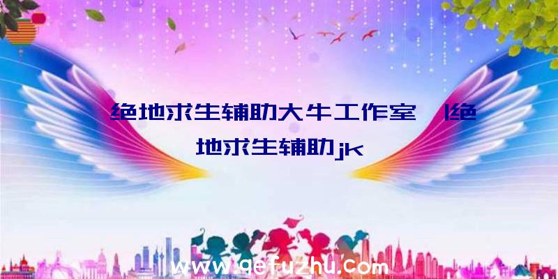 「绝地求生辅助大牛工作室」|绝地求生辅助jk